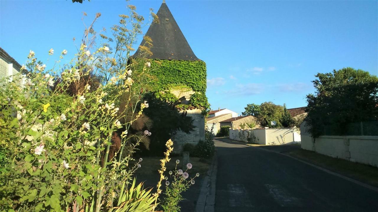 Les Gites Du Vigneron Et Cd'H Saint-Seurin-de-Palenne Εξωτερικό φωτογραφία